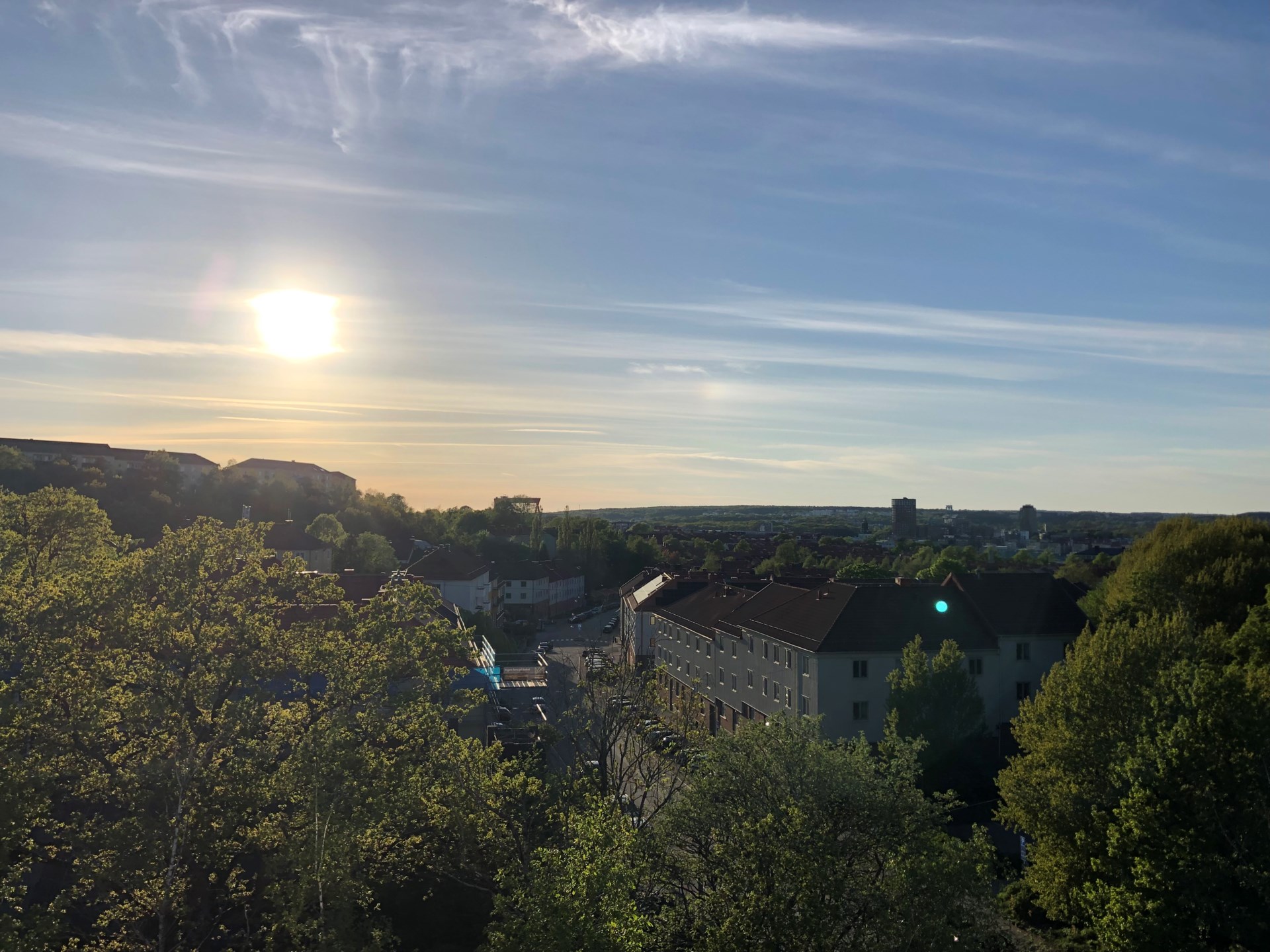 IMG_9318.jpeg