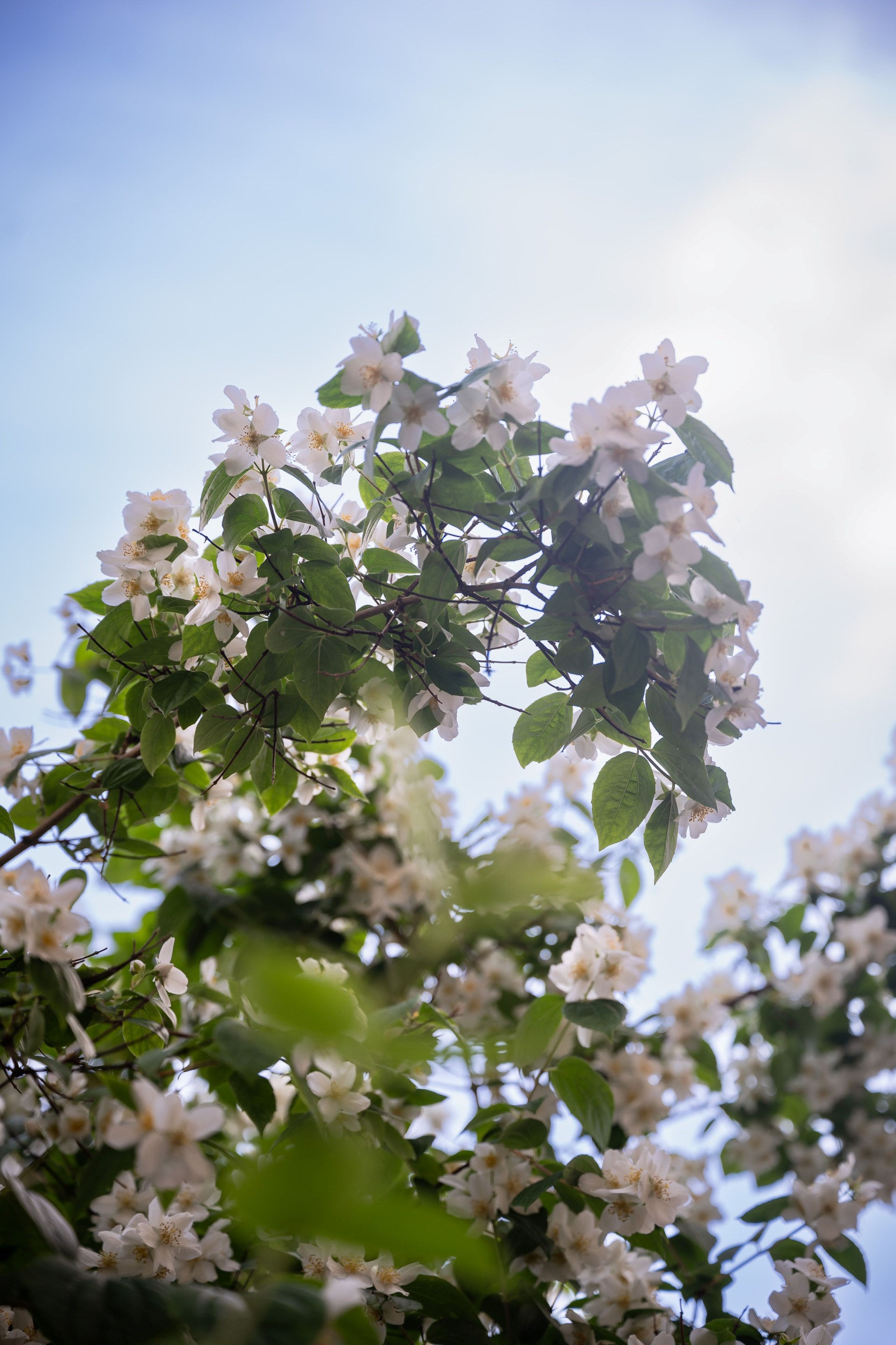 Välplanerat hem i välskött förening