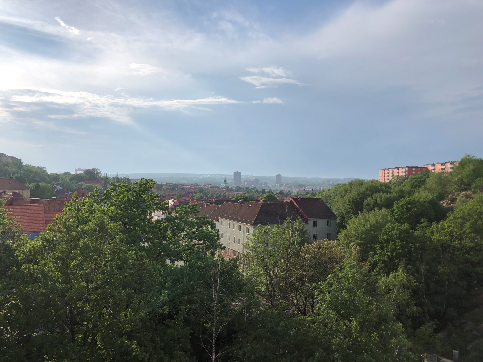 IMG_9487.jpeg