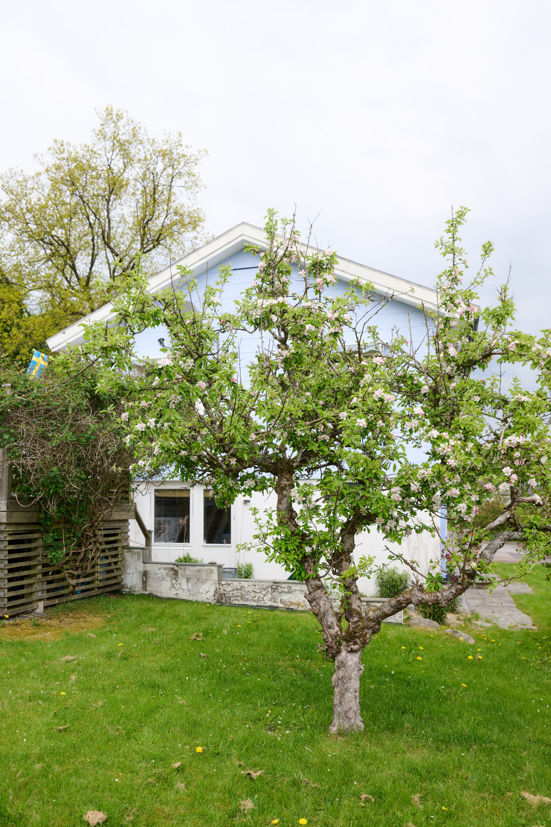 Friliggande sutterängvilla med bergvärme, pool och privat läge mot skogen!